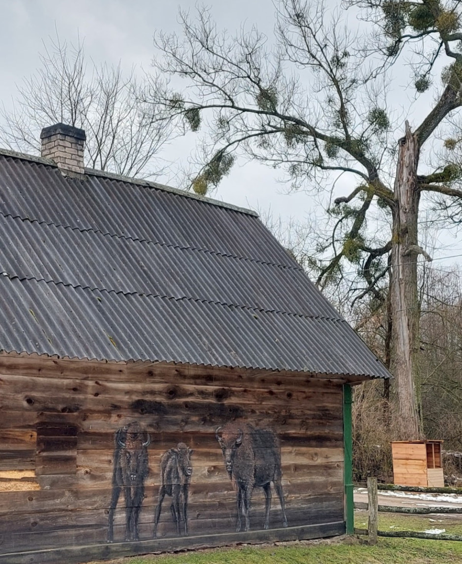 Хата на болоте 20.jpg