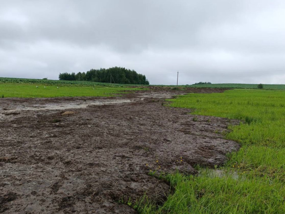 В речку слили навоз 