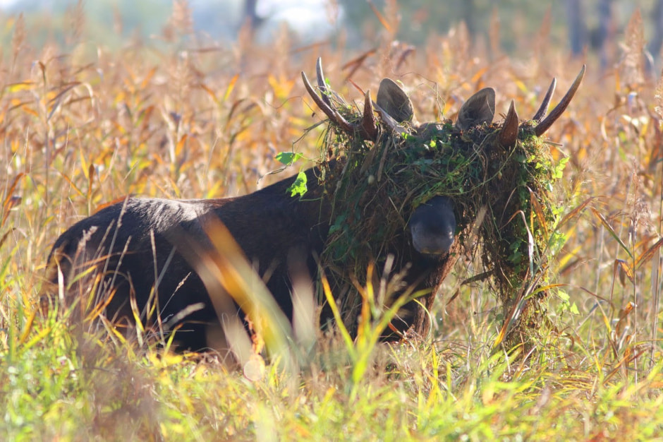 Финалисты конкурса Дикая природа Беларуси-2024 20.jpg