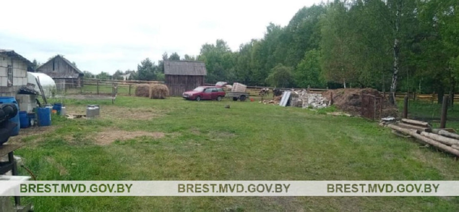 Украденное сено во дворе.jpg