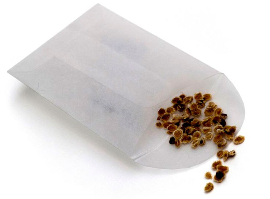 семена3.jpg семена3.jpg