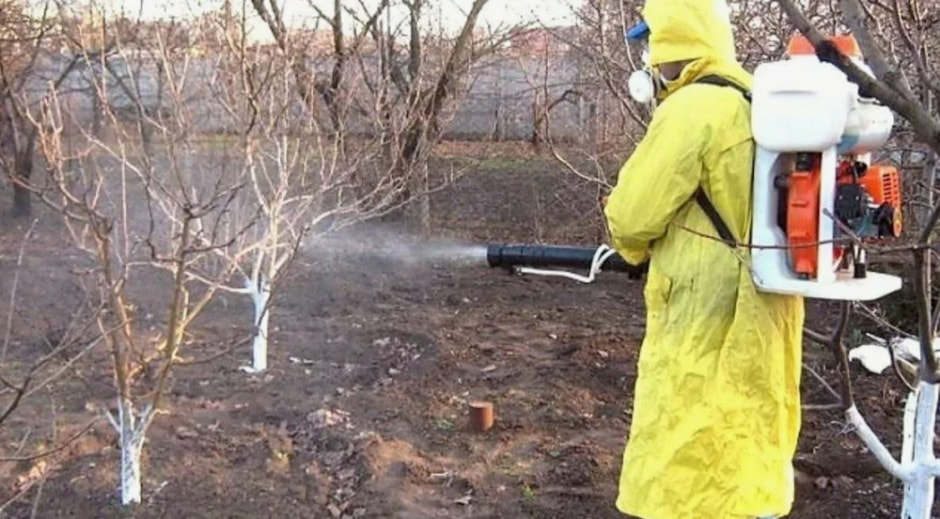 обработка сада.JPG