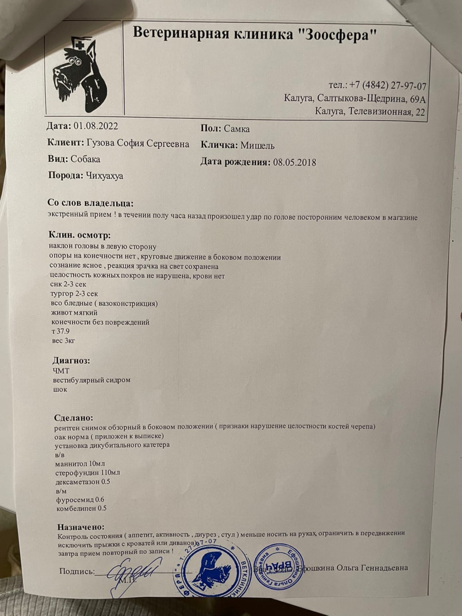 собака1.jpg собака1.jpg