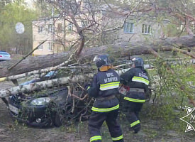 Два человека пострадали из-за сильного ветра в Беларуси, в том числе ребенок