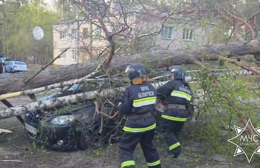 Два человека пострадали из-за сильного ветра в Беларуси, в том числе ребенок