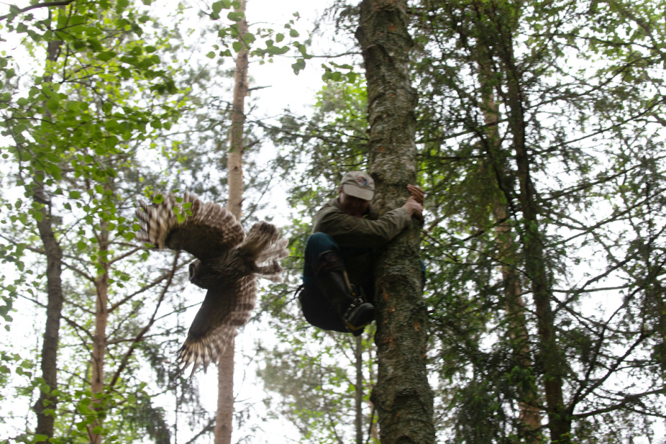 Сергей Плыткевич и его фото 7.png