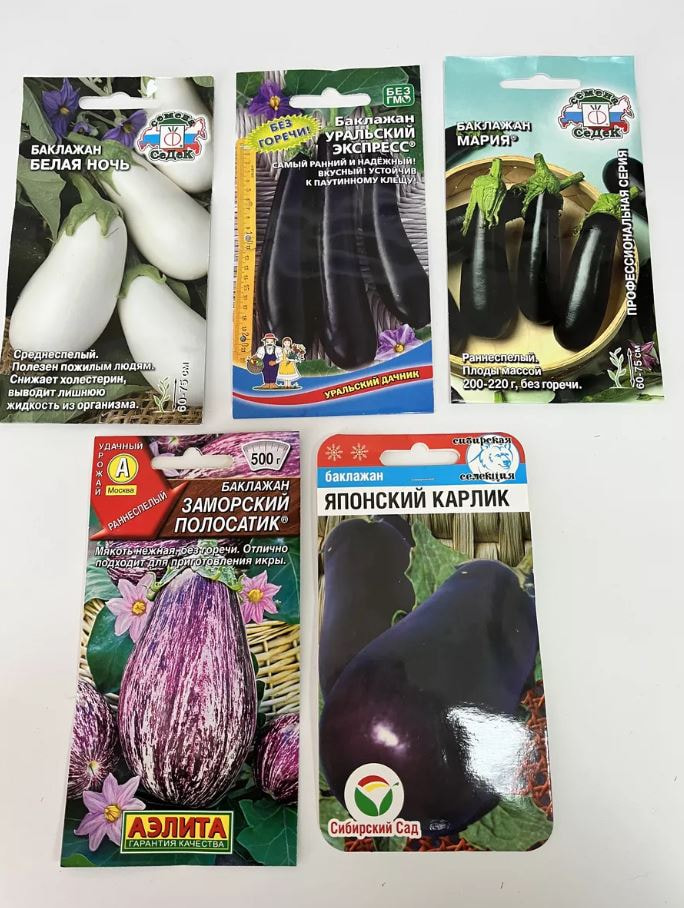 баклажан баклажан2.jpg