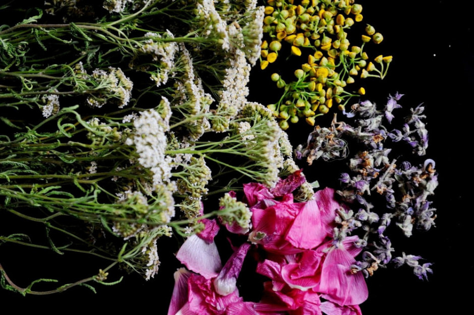 Травяные сборы в Беларуси 2.jpg