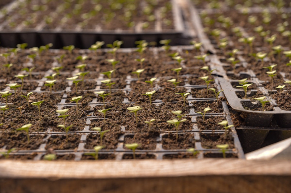 Герои Смартпресс 21.jpg