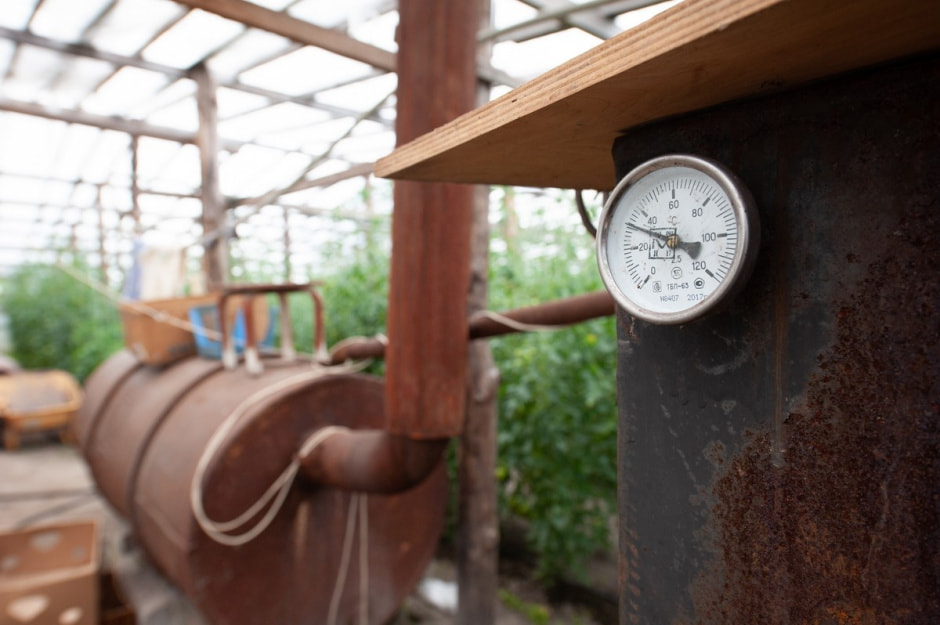 Семья Лой 20 лет выращивает огурцы и помидоры 2.jpg