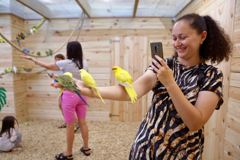 Попугайня в Витебске 2.jpg