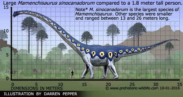 mamenchisaurus-size.jpg