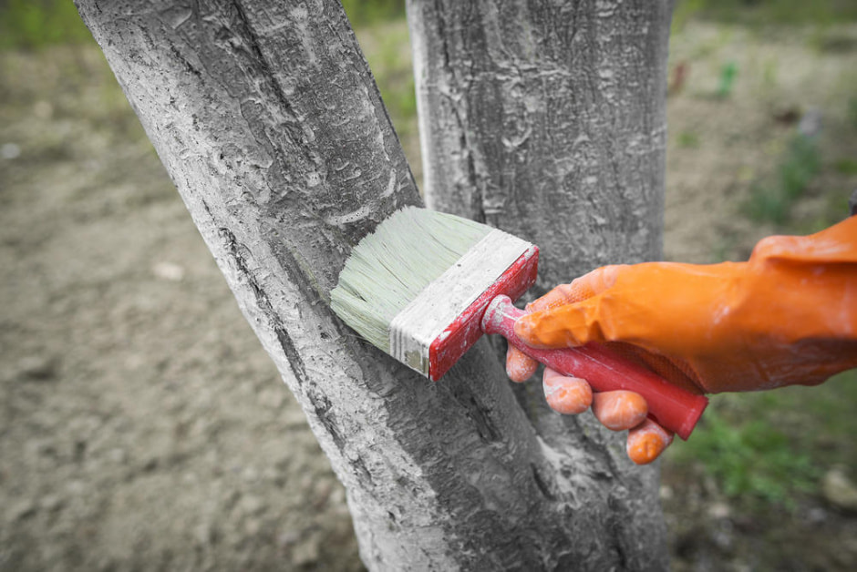 photo_2024-12-01_20-30-01.jpg photo_2024-12-01_20-30-01.jpg