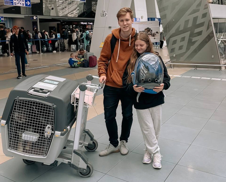 Переезд с животными 1.jpeg