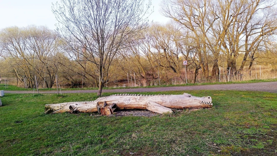 Топ-5 экотроп Минска 10_Белая дача.jpg Топ-5 экотроп Минска 10_Белая дача.jpg