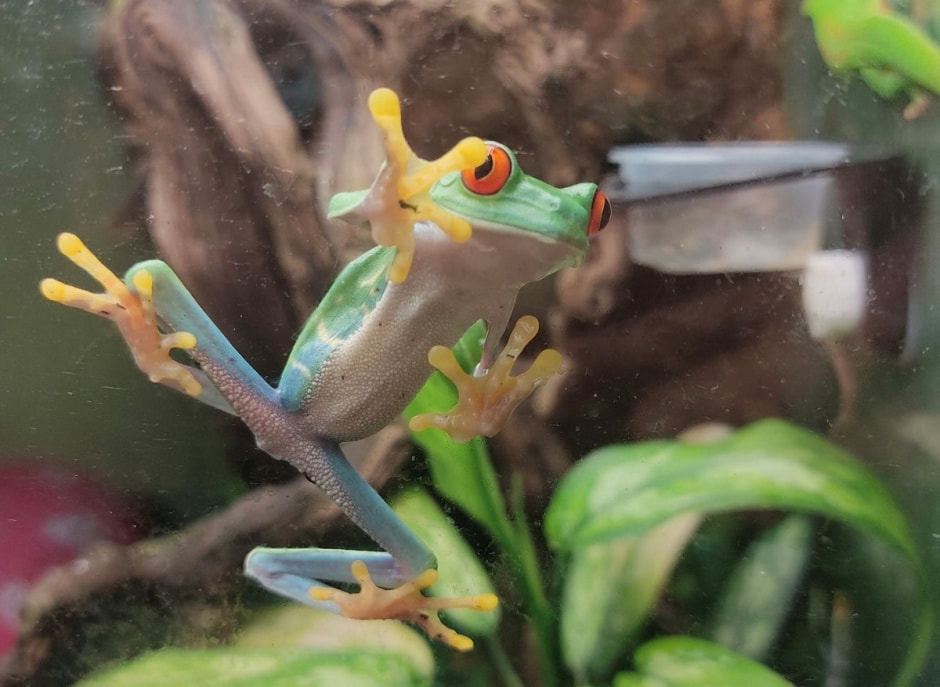 Домашние гады 7.jpg