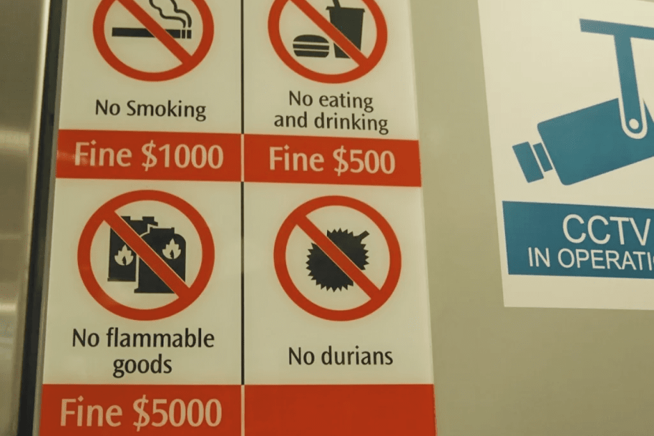 Экзотика на Комаровке 4_Дуриан 2.png