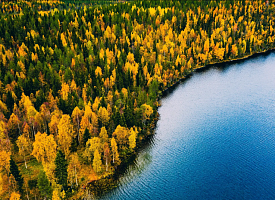 Под Северным морем когда-то был затерянный мир. Древний.
