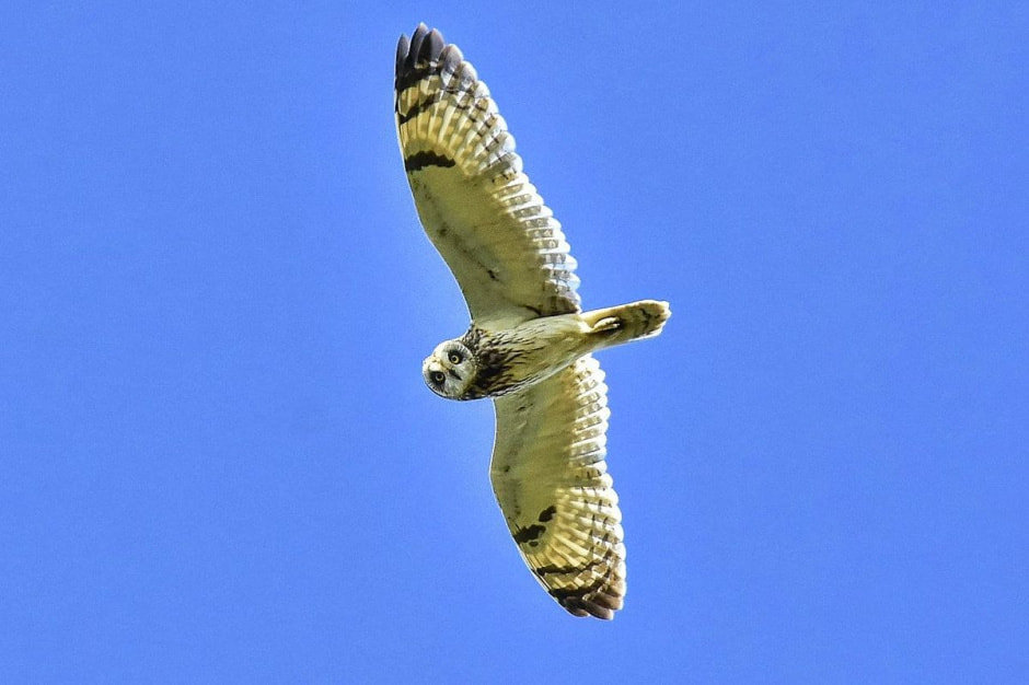 Фотограф-врач Инна Субботина 10.jpeg