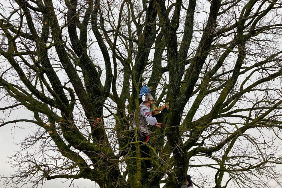 10-Обряд Каляду на дуба Березинский район.jpg