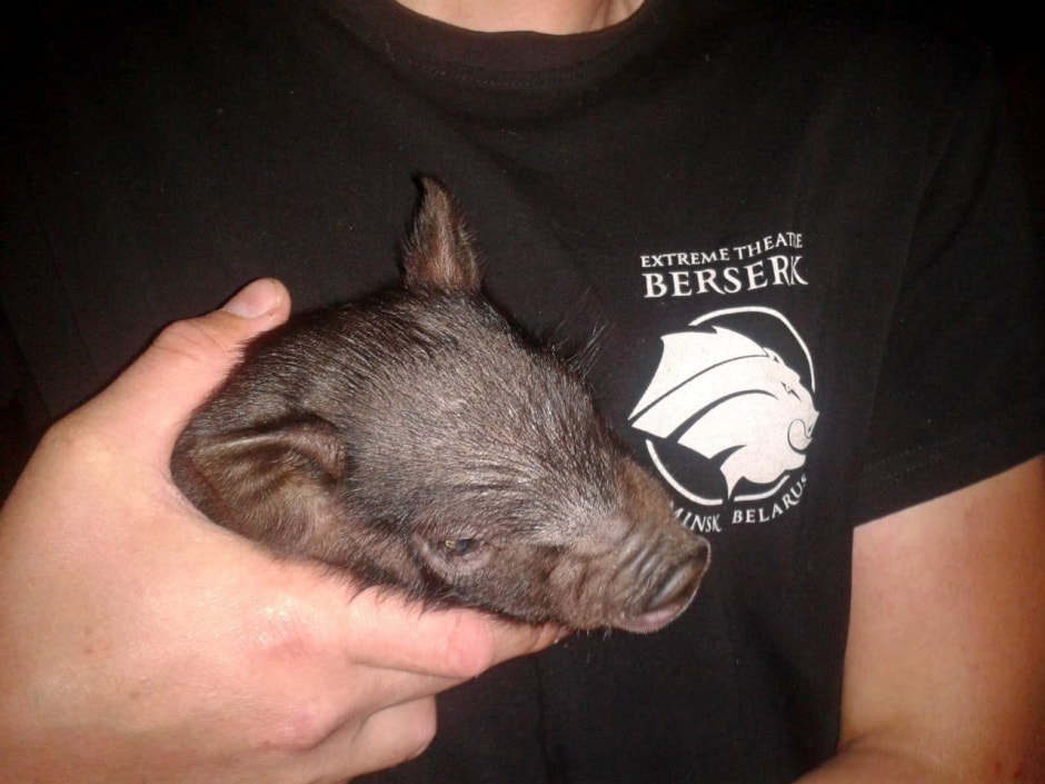 Истории участников фестиваля Наш Грюнвальд 9.jpg