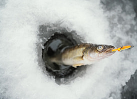 Два месяца ареста получил житель Пинского района после рыбалки