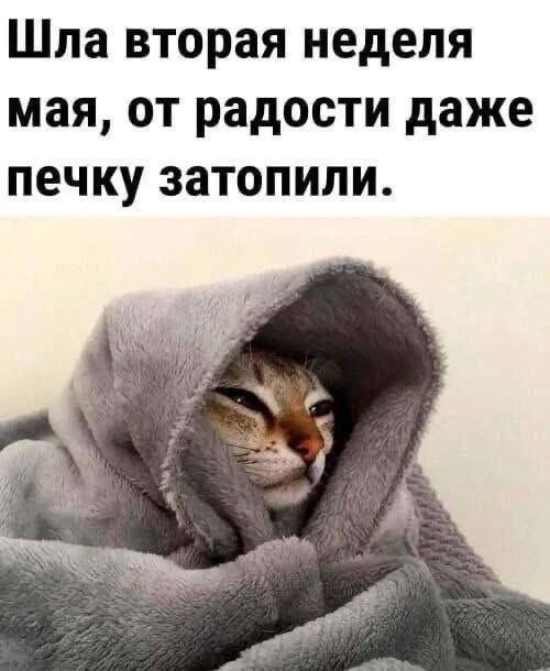 Мемы майские холода