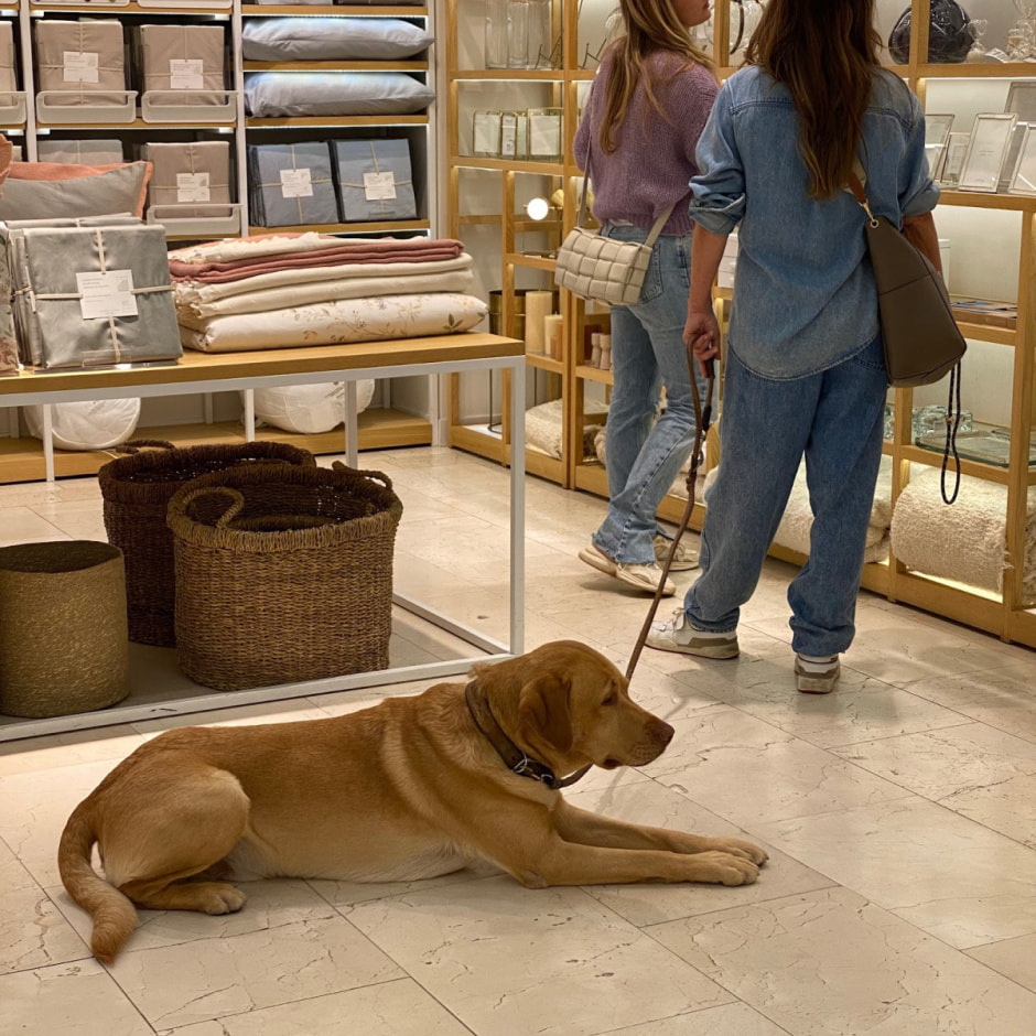 Путешествие с собакой 5.jpg