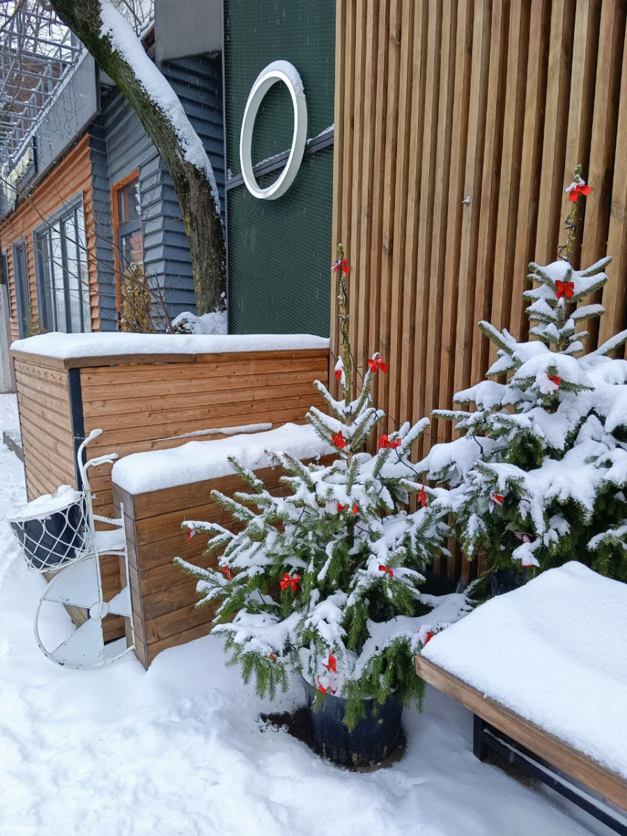 фото на Tecno Camon 20 Premier 5G 5.jpg