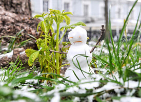 Сменится ли тепло морозами? Синоптик Рябов рассказал, чего ждать от погоды в Беларуси с 15 по 21 декабря