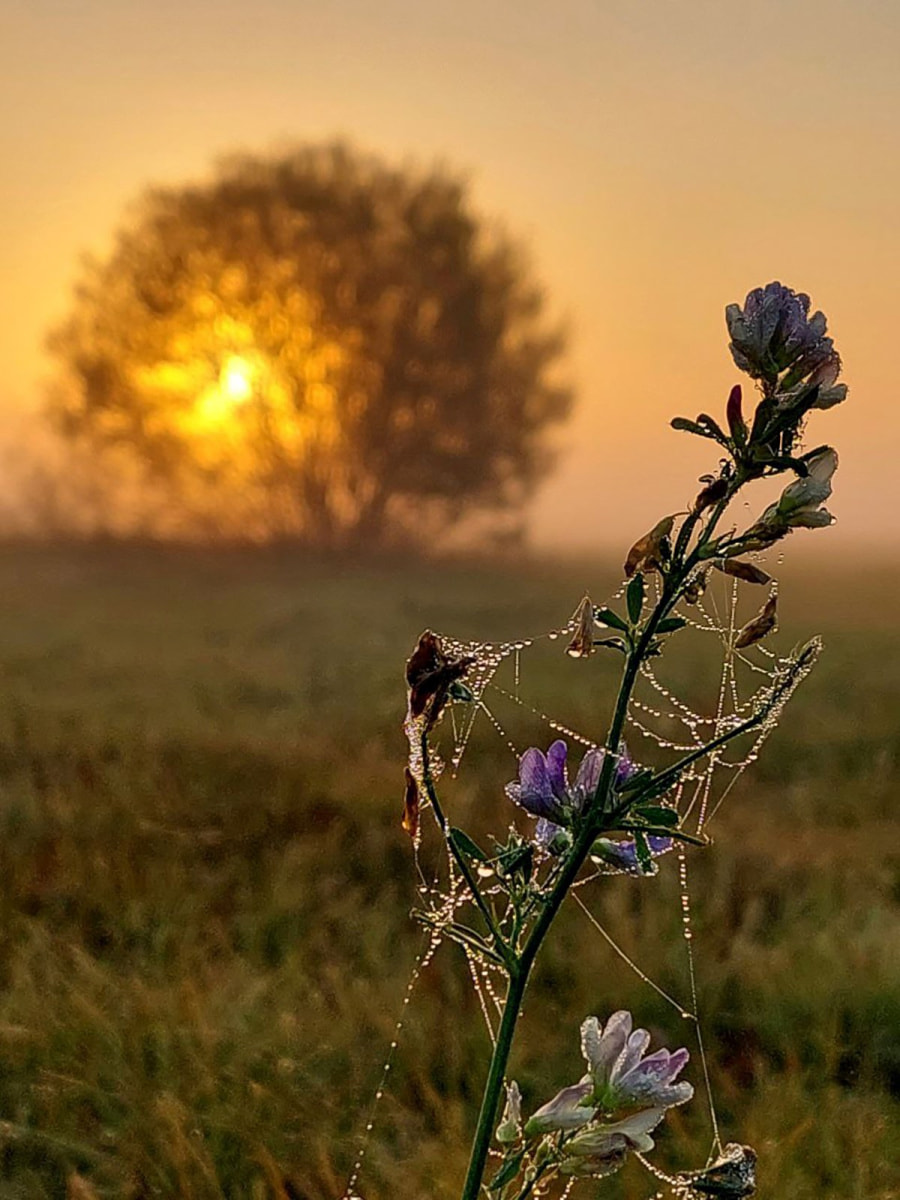Что нужно успеть сделать в августе с деревне 4.jpg