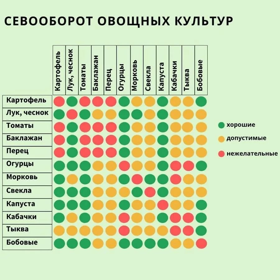 севооборот.jpg севооборот.jpg