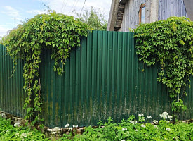 Какой высоты забор допустим на дачном участке? Адвокат объяснила белорусам