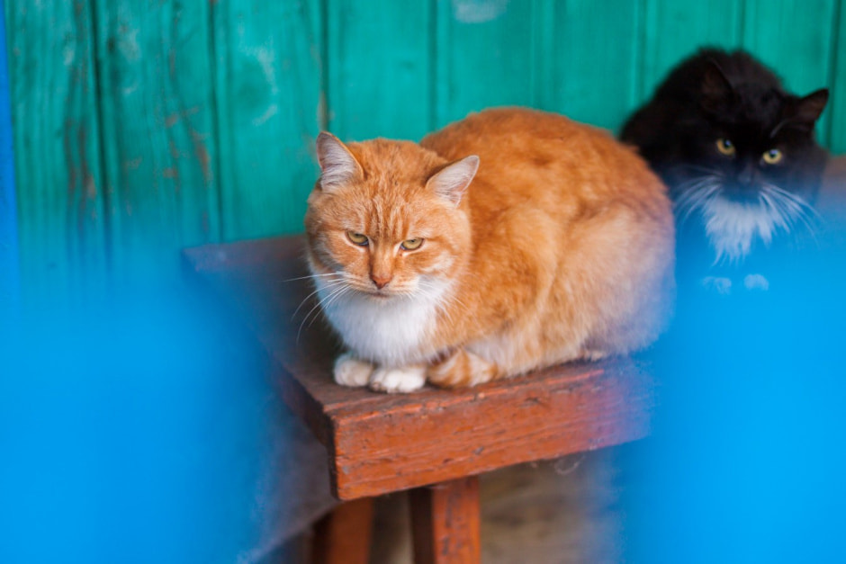 Агроусадьба Букашкин дом 27.jpg