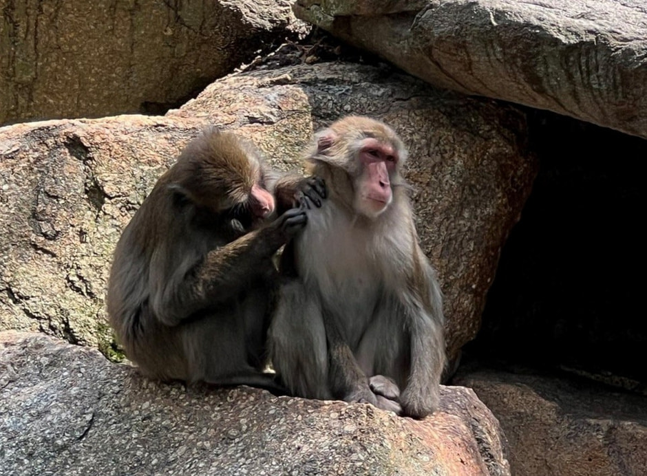 Берлинский зоопарк 13.jpg