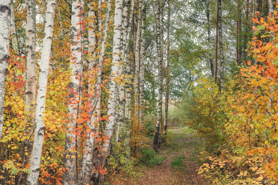 нагнала апатия