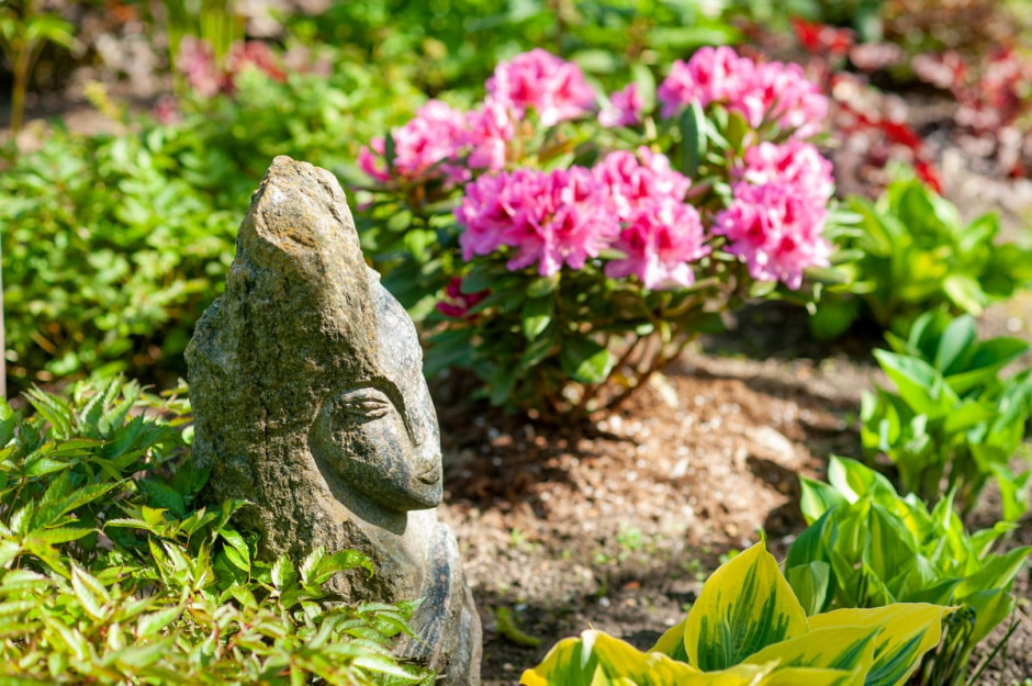 Семья Шокало и экзотический сад 16.jpg