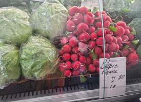 На Комаровке появилась первая весенняя редиска. А что подешевело сразу в 4 раза?