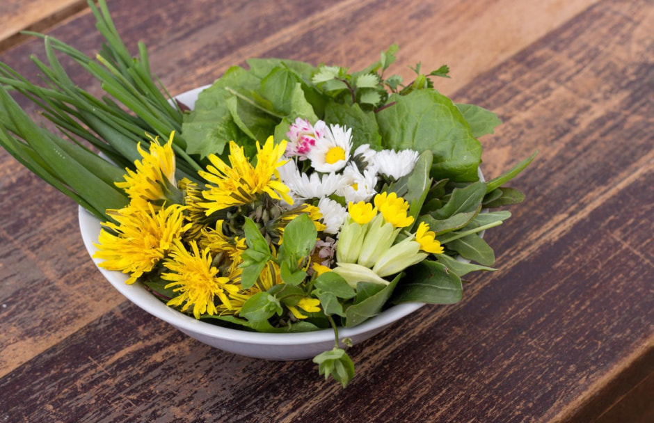 Дикоросы 1.jpg Дикоросы 1.jpg