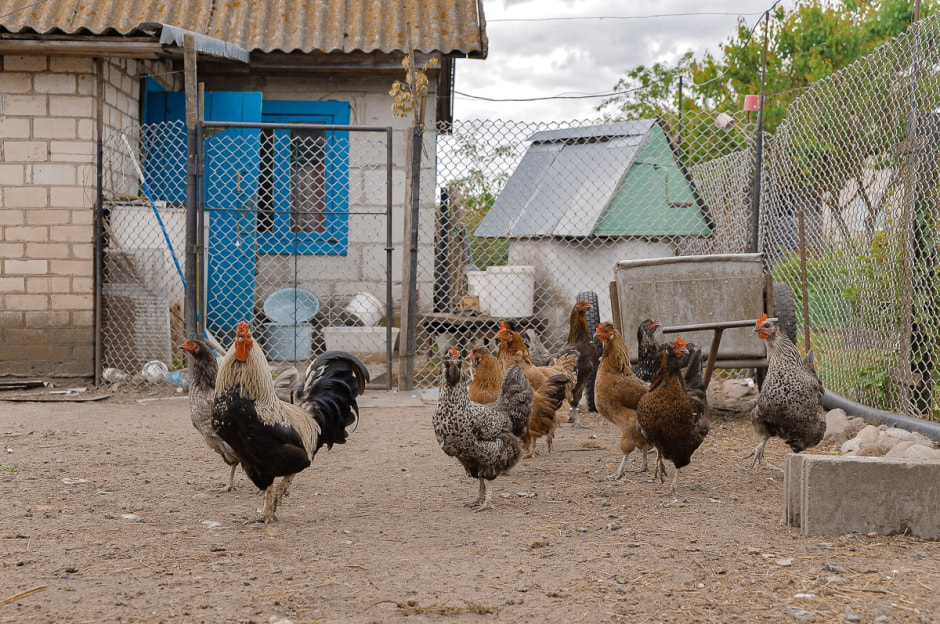 Рыбак из Спорово 21.jpg