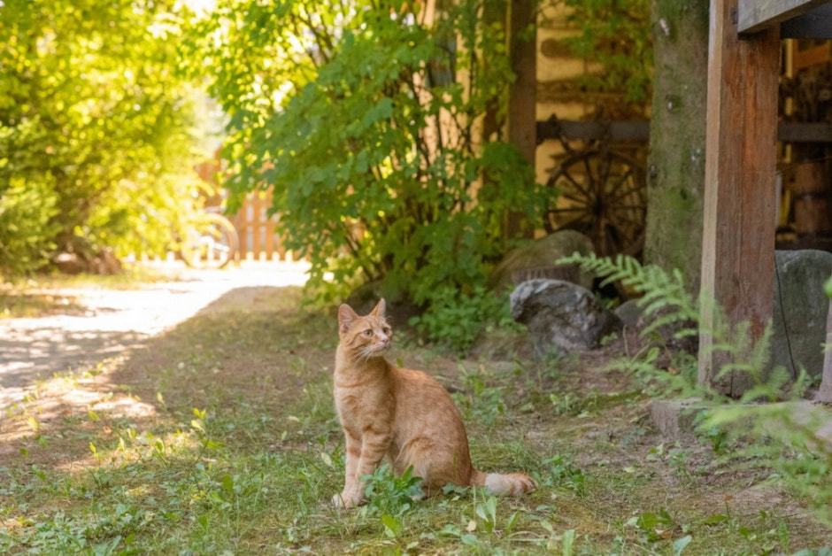 Художник Владимир Цвирко и его путешествия по Беларуси 17.jpg