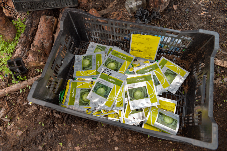 Две семьи выращивают огурцы и клубнику 11.png