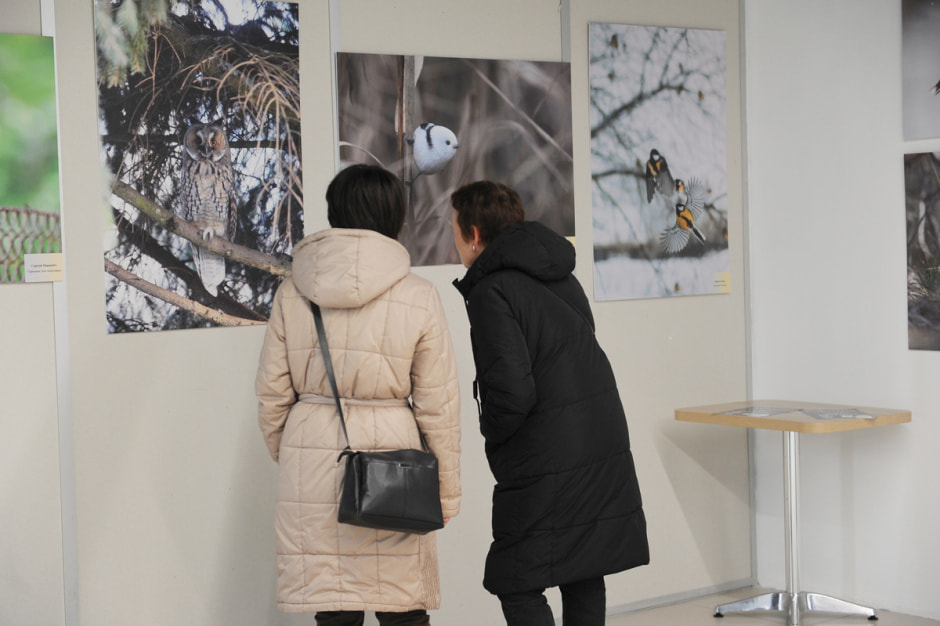 выставка Дикая природа Беларуси 9.JPG