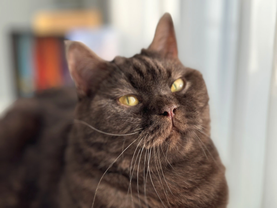 Первый визит в ветклинику 1.jpg