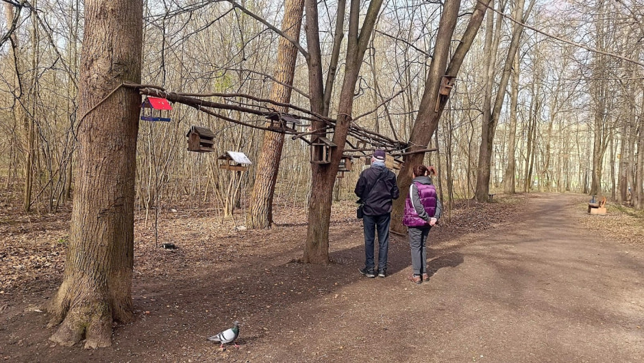 Топ-5 экотроп Минска 18_Севастопольская.jpg Топ-5 экотроп Минска 18_Севастопольская.jpg