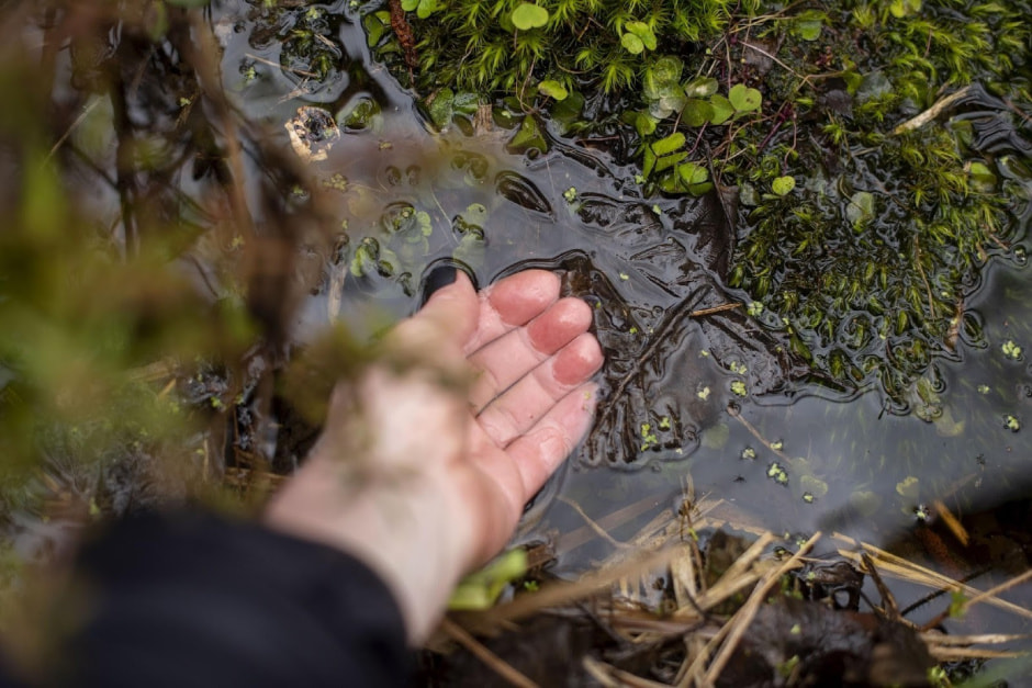 22-Болотная вода.jpg