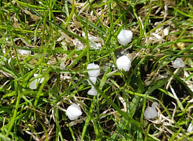 В Беларуси в апреле выпал град