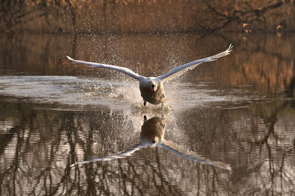 26-Так Алесь бежит по воде поздороваться с Анатолием.jpg