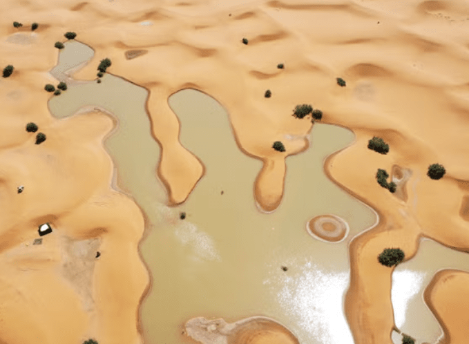 Сахару частично затопило проливными дождями (2).png Сахару частично затопило проливными дождями (2).png