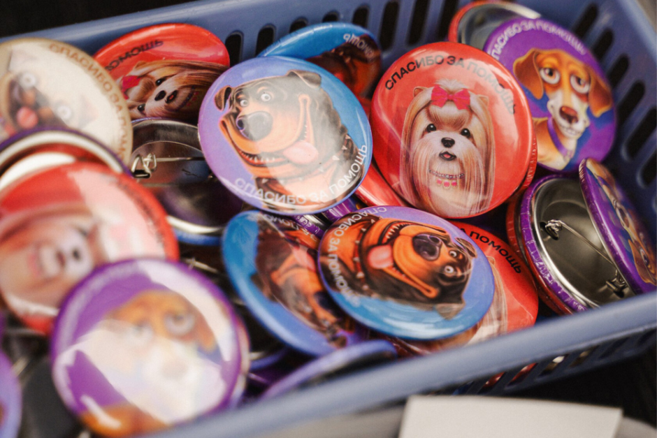 27 котов и 5 собак нашли хозяев — 